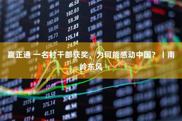 赢正通 一名村干部获奖,为何能感动中国?丨南岭东风